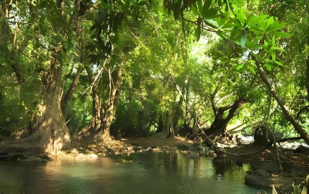 Natural Park Resort De Wang Thong Phitsanulok Buitenkant foto