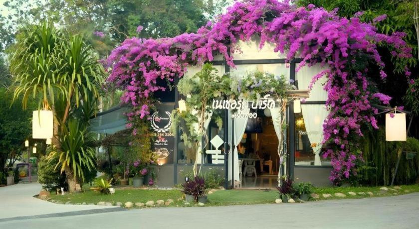 Natural Park Resort De Wang Thong Phitsanulok Buitenkant foto